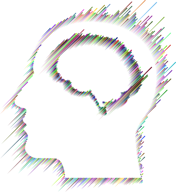 Wrong brain surgery