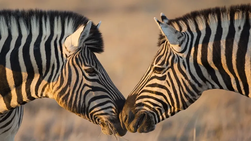 Uhuru and Opposition Leader Raila