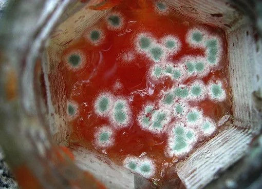 Food poisoning outbreak