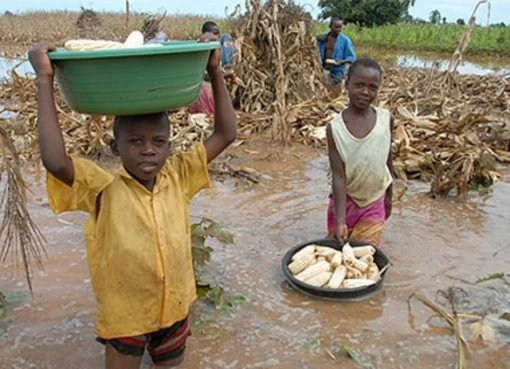 Uganda Mudslide, Sironko mudslide